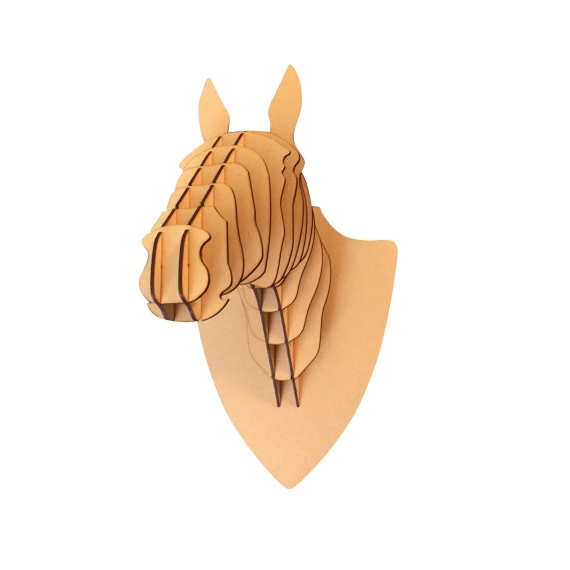 Product 6